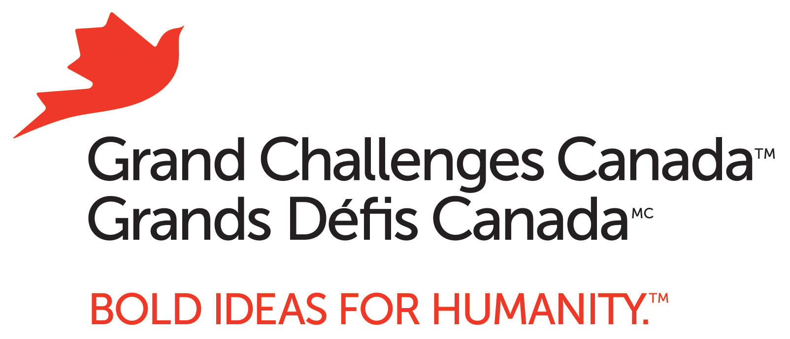Grand Challenges Canada4